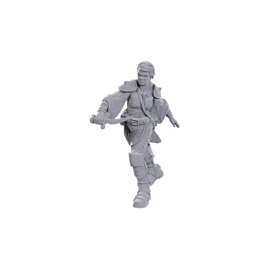 D&D Nolzur's Marvelous Miniatures - Swashbuckler