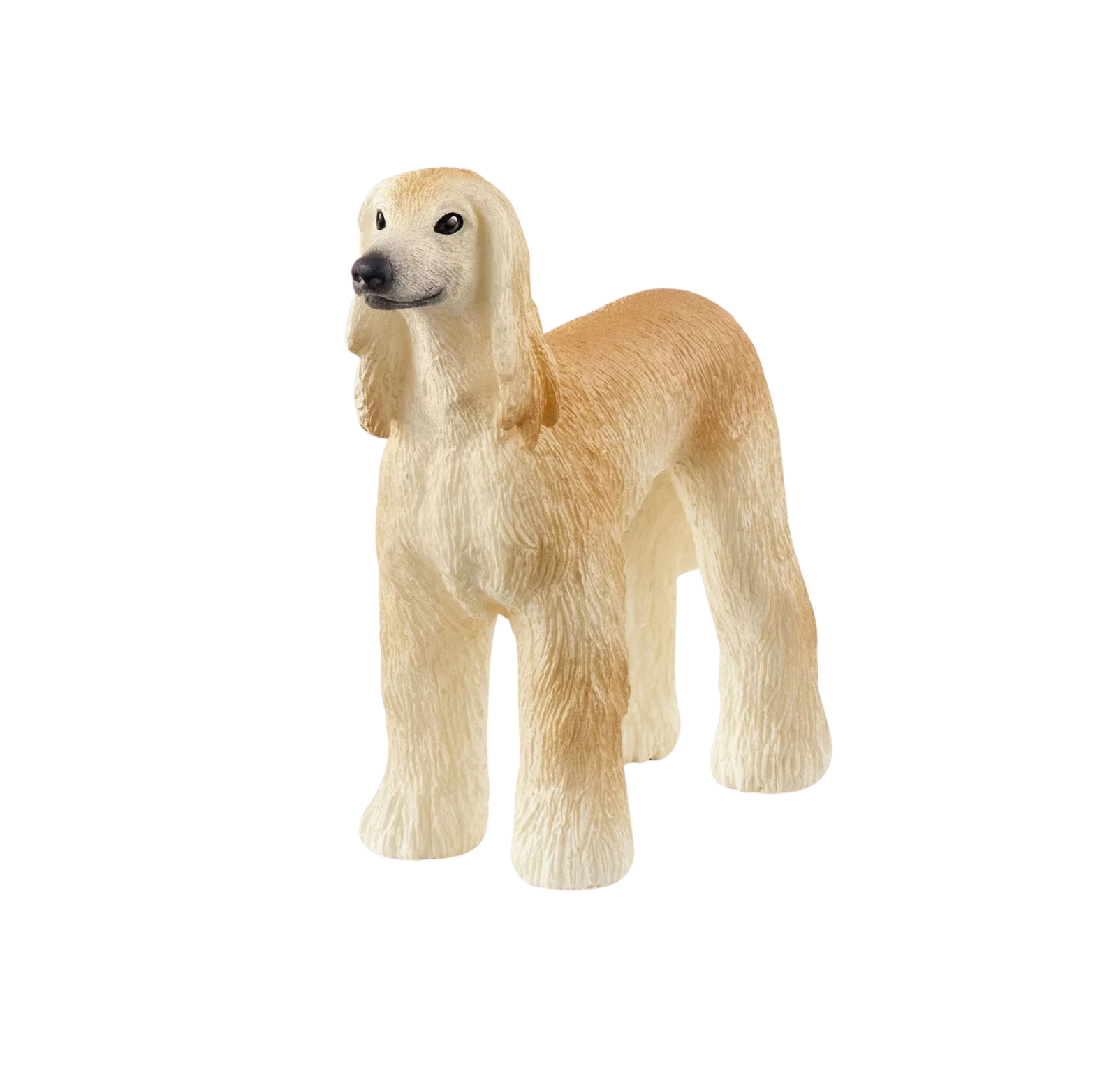 Galgo Afegão