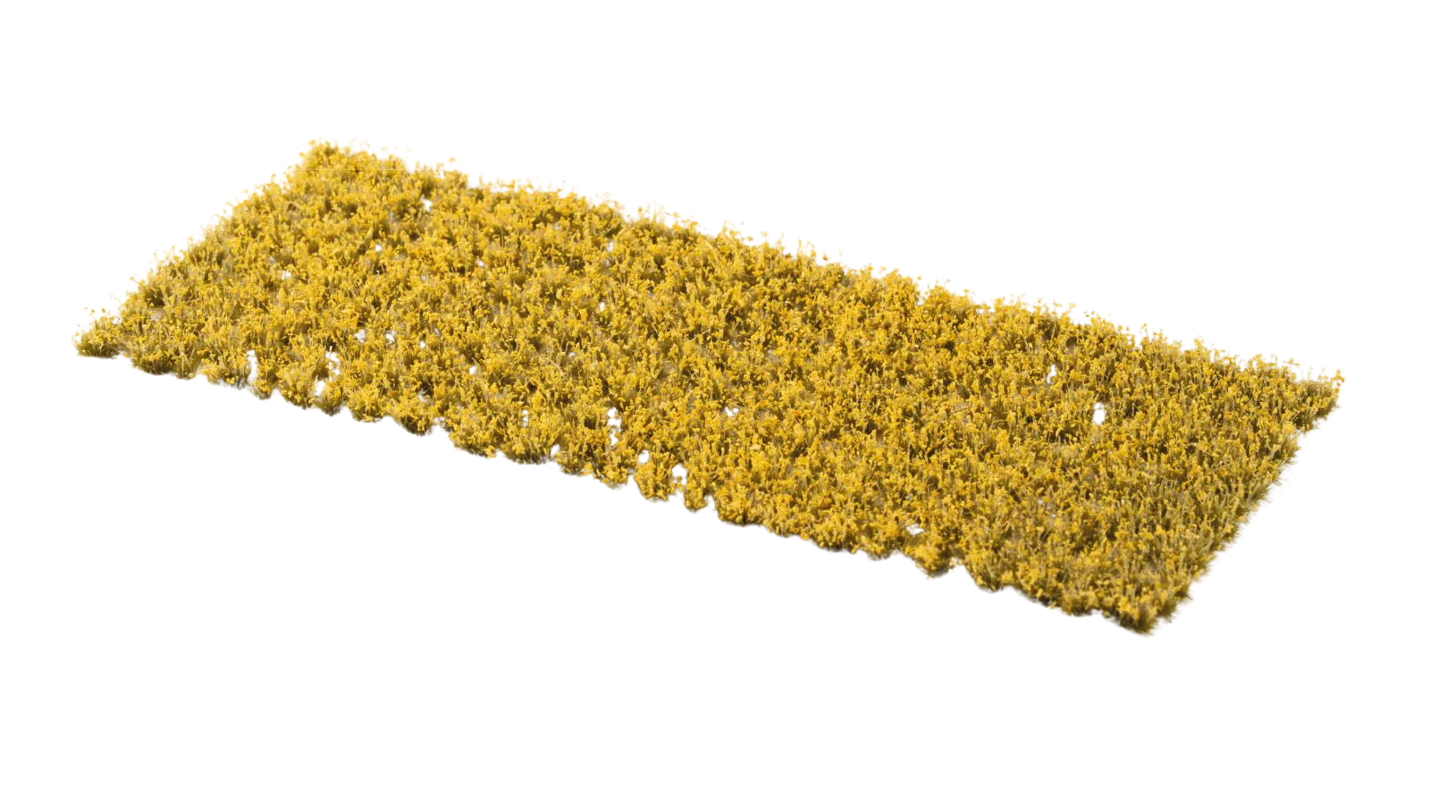 Gamers Grass - Dandelion Tiny Flowers