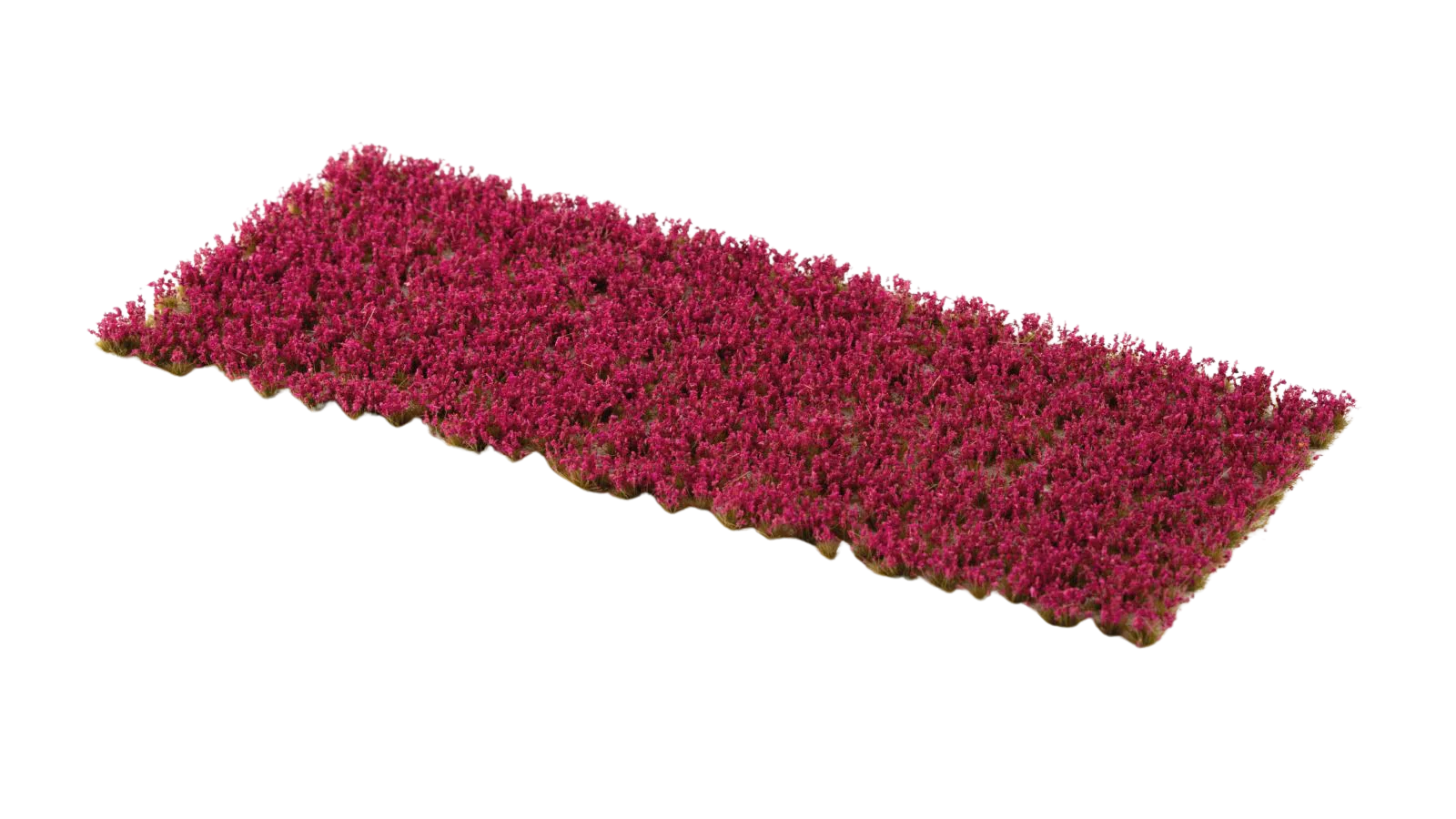 Gamers Grass - Garnet Tulip Tiny Flowers