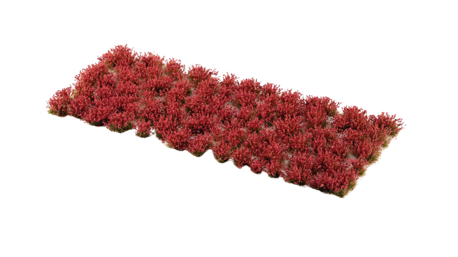 Gamers Grass - Laliguras Flowers