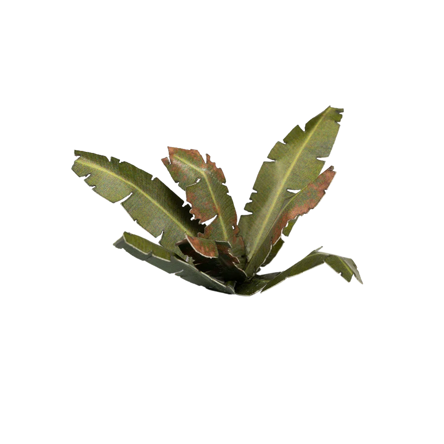 Gamers Grass - Laser Plants - Banana Tree