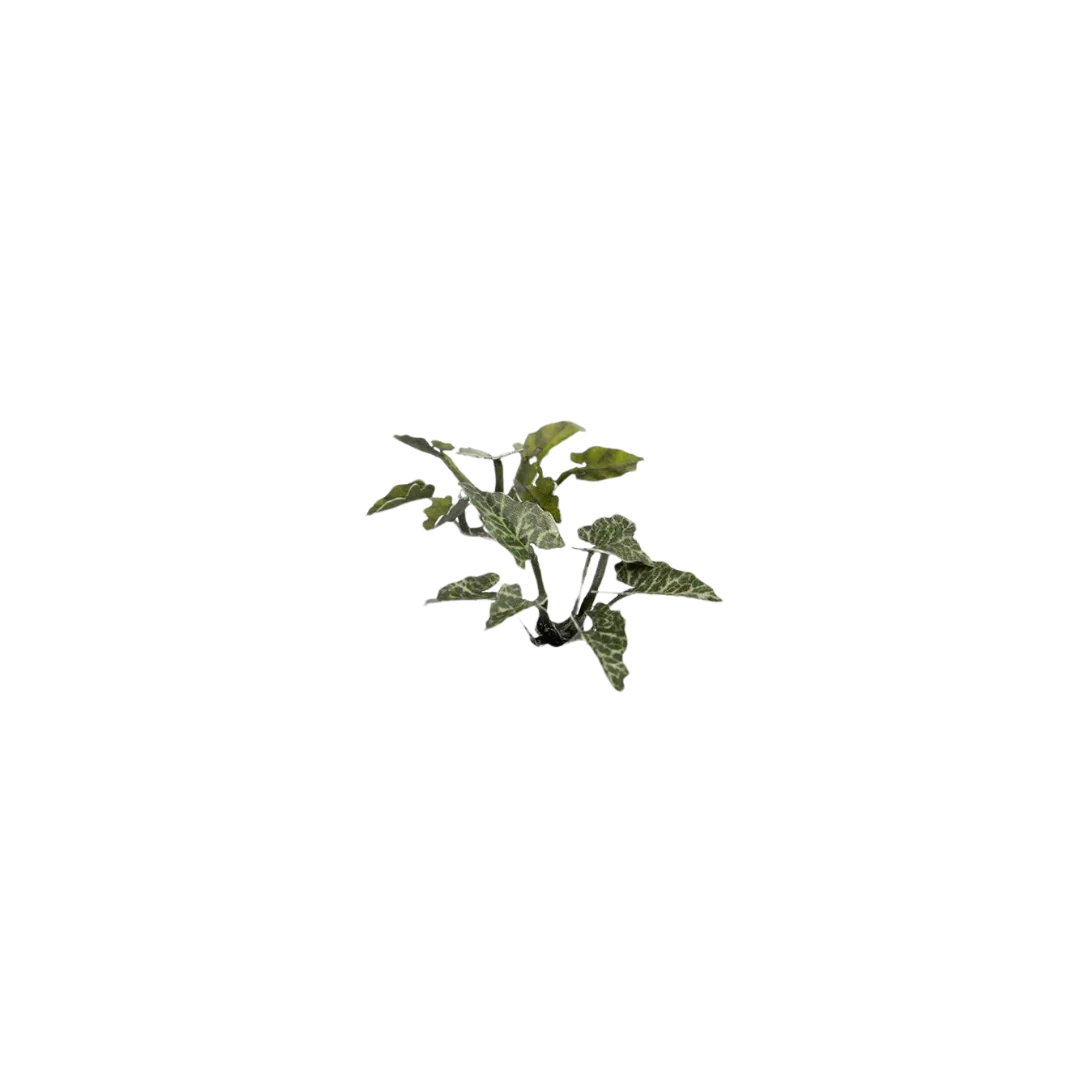 Gamers Grass - Laser Plants - Lords and Ladies - Image 2