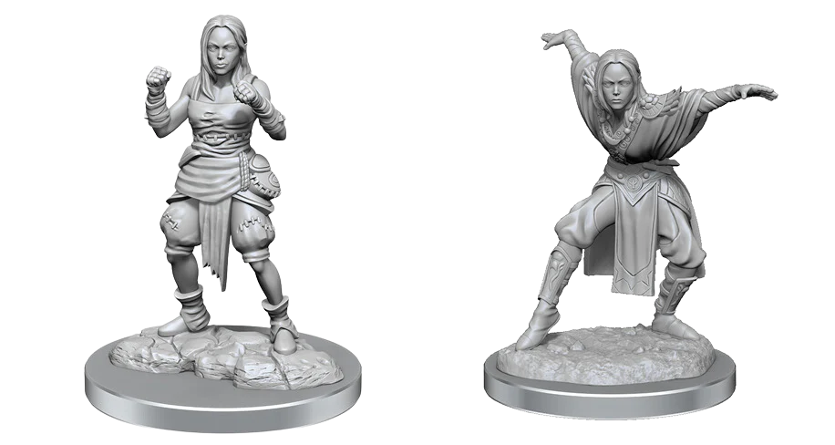 Pathfinder Deep Cuts Unpainted Miniatures - Half-Elf Monk Female