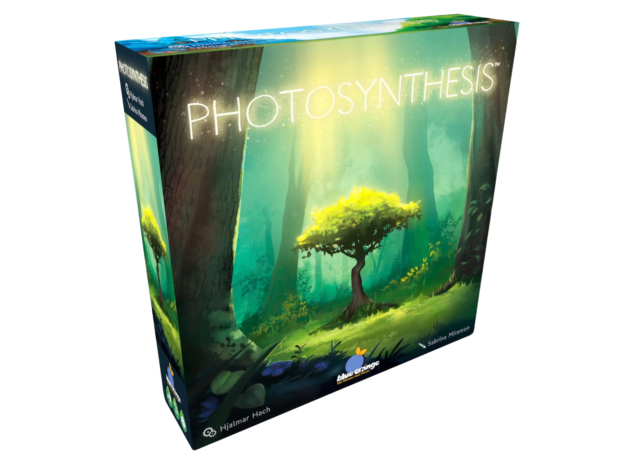 Photosynthesis